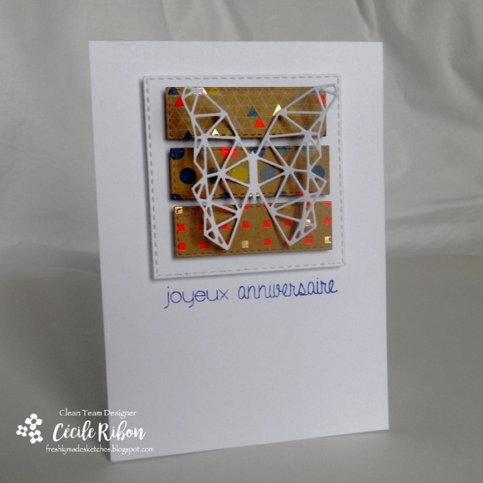 carte-fms273-dscn8659