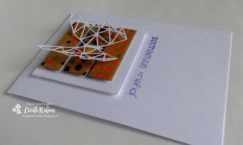 carte-fms273-dscn8665