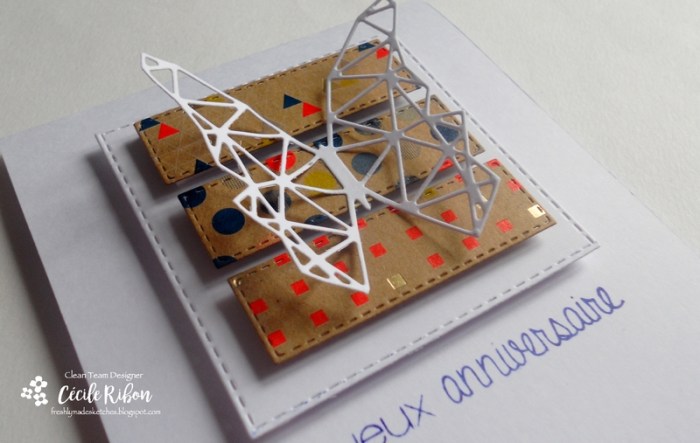 carte-fms273-dscn8670