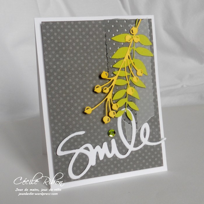 carte-fusion10-dscn8647