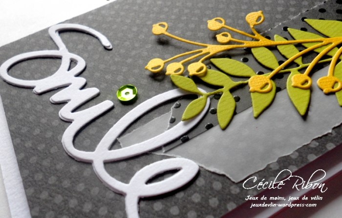 carte-fusion10-dscn8658