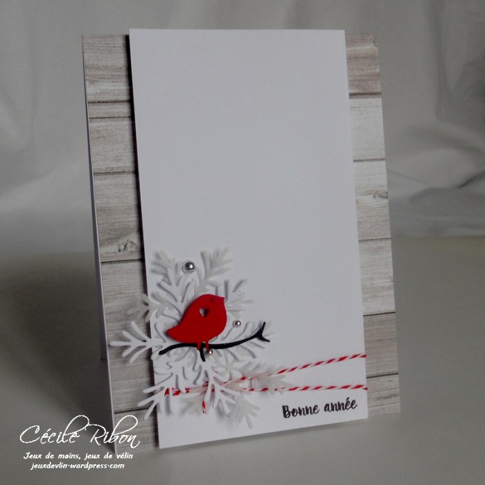 carte-fusion9-dscn8304