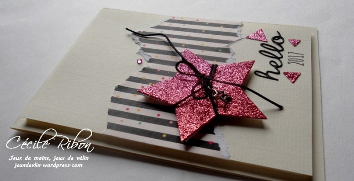 carte-maniak145-dscn8193