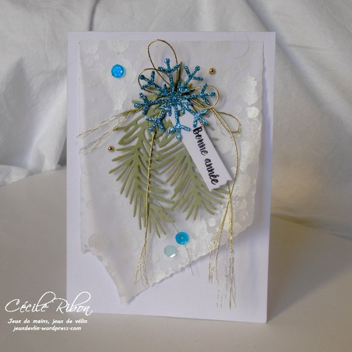 carte-patricia-dscn8151