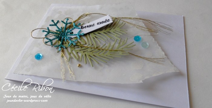 carte-patricia-dscn8162