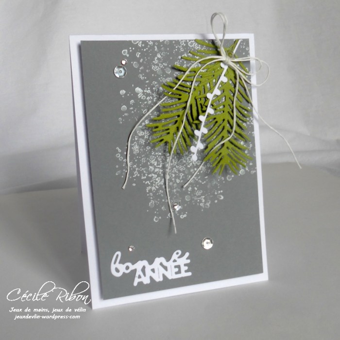 carte-veronique-dscn8136