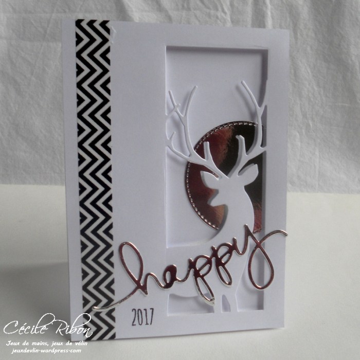 carte-vicky-dscn8566