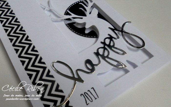 carte-vicky-dscn8574