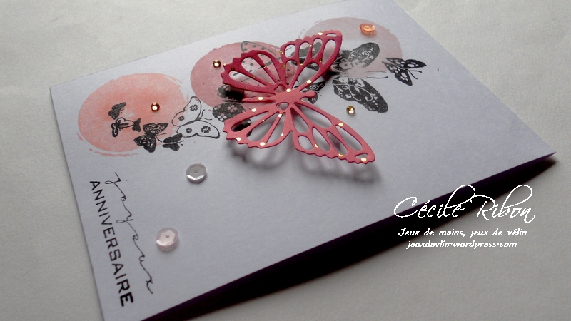 carte-amandine-dscn8682