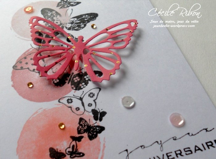 carte-amandine-dscn8692