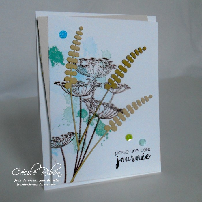 carte-ctd430-dscn8840