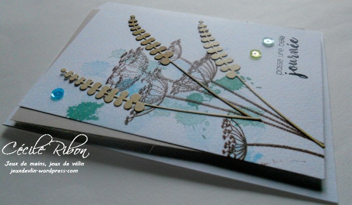 carte-ctd430-dscn8848