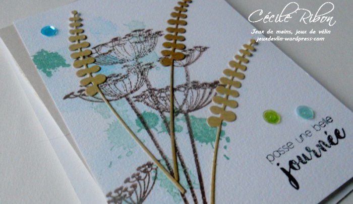 carte-ctd430-dscn8855