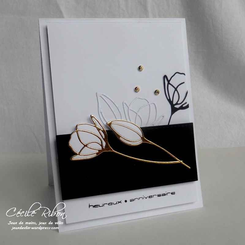 carte-daniele-dscn8544