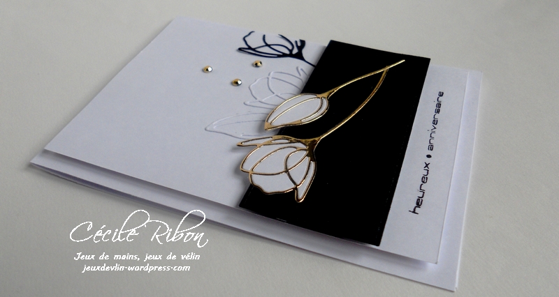 carte-daniele-dscn8549