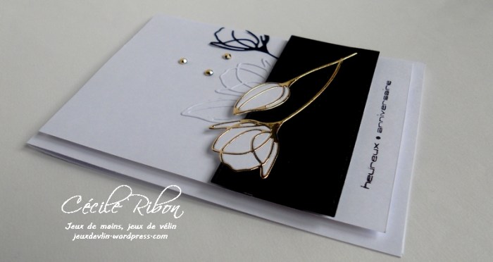 carte-daniele-dscn8549