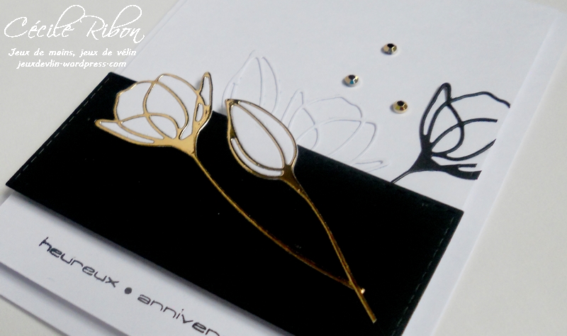 carte-daniele-dscn8582