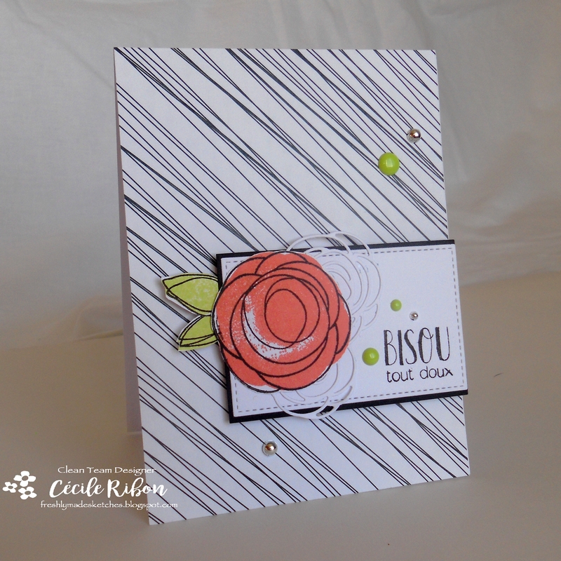 carte-fms274-dscn8710