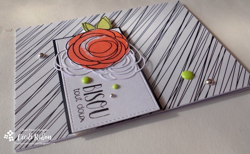 carte-fms274-dscn8725