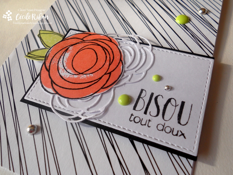 carte-fms274-dscn8727