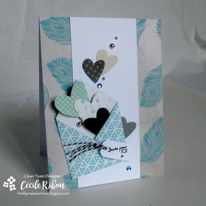 carte-fms276-dscn8795