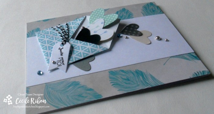 carte-fms276-dscn8801