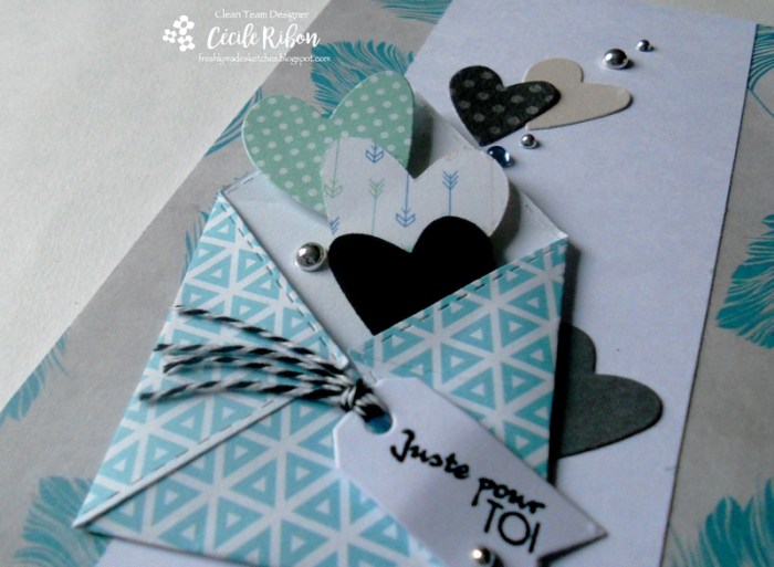 carte-fms276-dscn8803