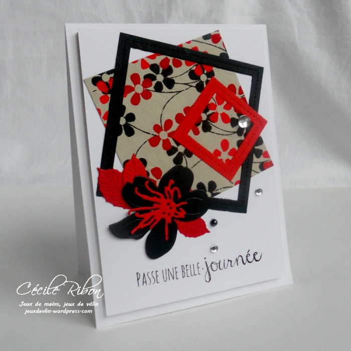 carte-jugs381-dscn8863