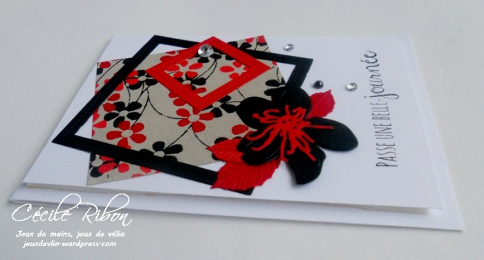 carte-jugs381-dscn8865