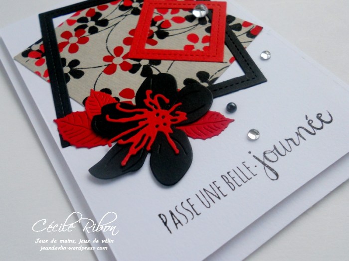 carte-jugs381-dscn8869