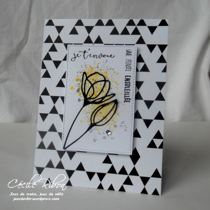 carte-jugs382-dscn9031