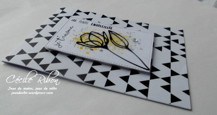 carte-jugs382-dscn9038