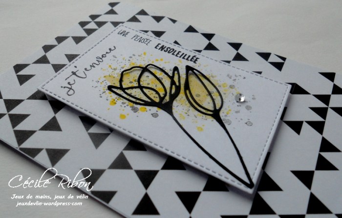 carte-jugs382-dscn9050