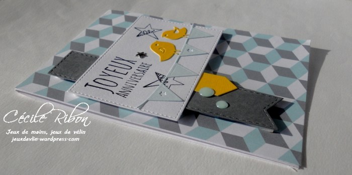 carte-maniak148-dscn8964