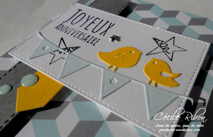 carte-maniak148-dscn8967