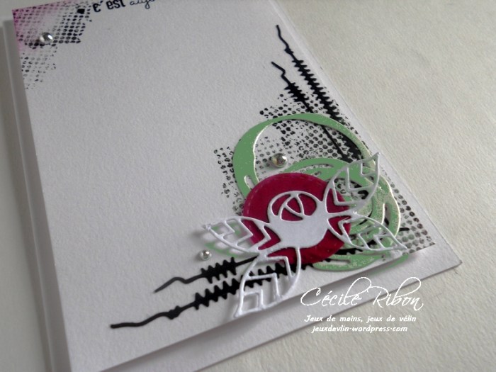 Carte AID10 - DSCN9166