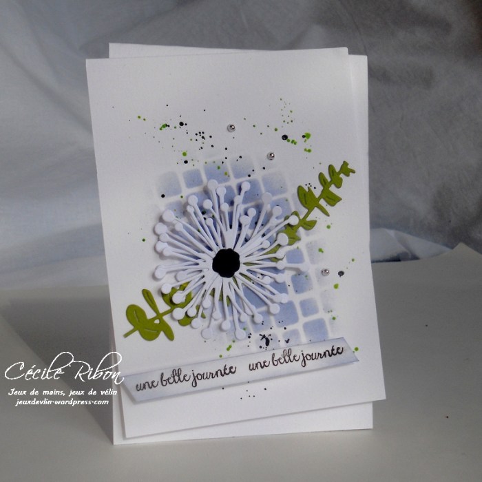 Carte CTD433 - DSCN9228