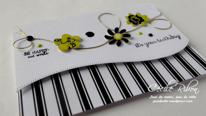 Carte CTD434 - DSCN9350