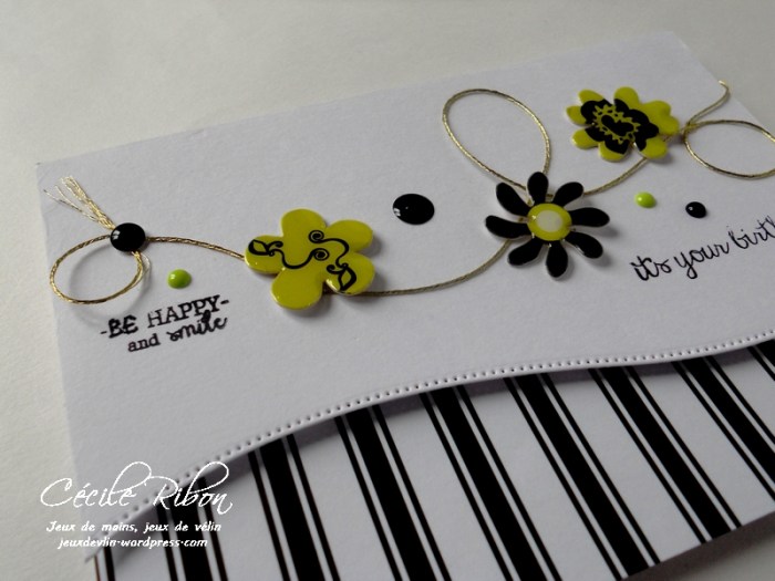 Carte CTD434 - DSCN9353