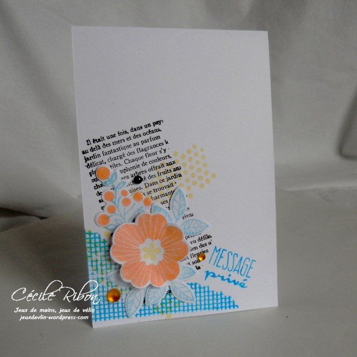 Carte CTD435 - DSCN9513