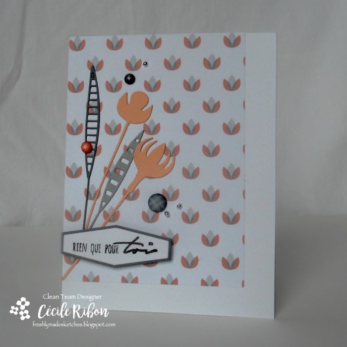 carte-fms277-dscn9014