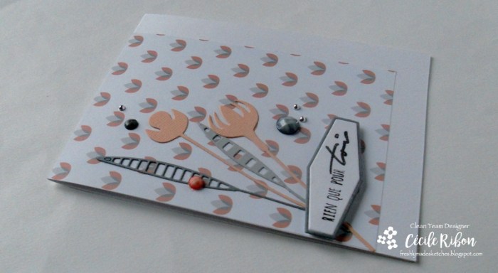 carte-fms277-dscn9022