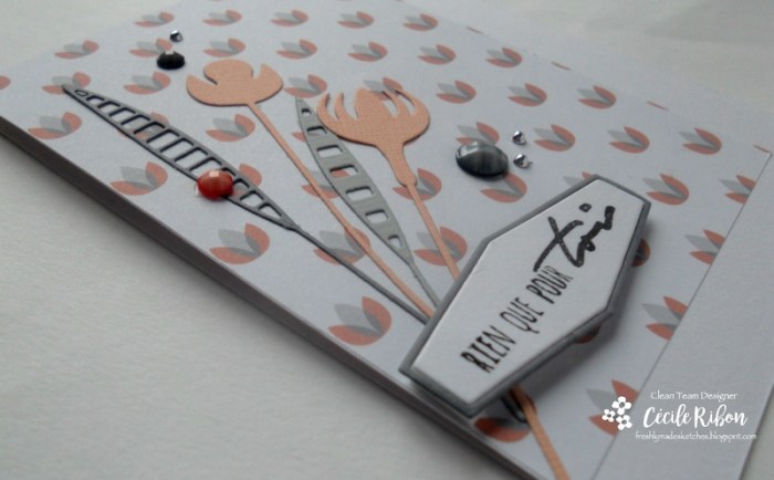 carte-fms277-dscn9025