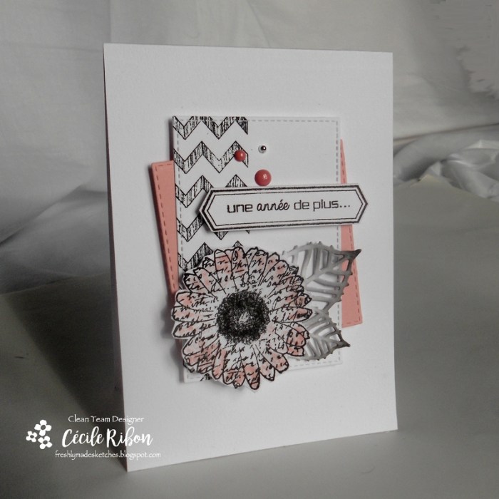 Carte FMS278 - DSCN9135