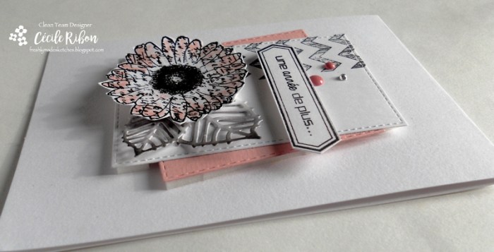 Carte FMS278 - DSCN9138