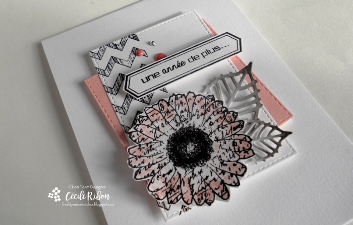 Carte FMS278 - DSCN9146