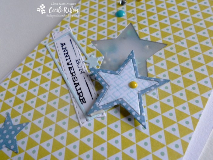 Carte FMS280 - DSCN9409