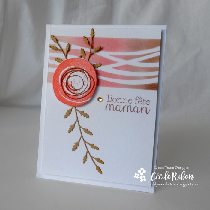 Carte FMS281 - DSCN9587