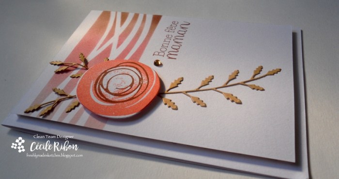 Carte FMS281 - DSCN9588