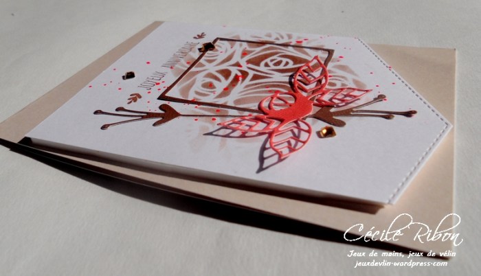 Carte JUGS384 - DSCN9266